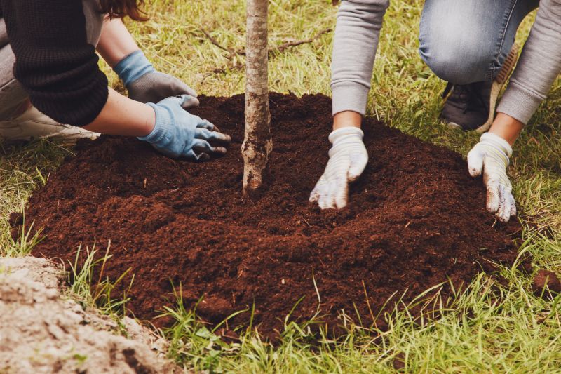 Oak Tree Planting in Ventura County, CA