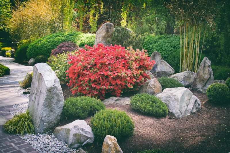 Rock Feature Installation