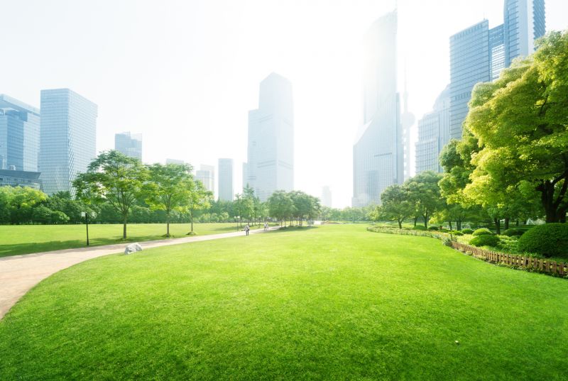 Commercial Landscape Design in Ventura County, CA