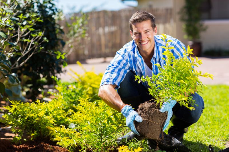 Greenery Planting in Ventura County, CA